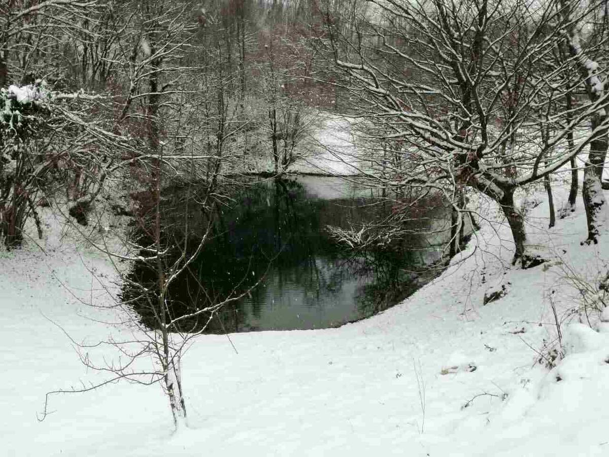 Private Place, Boca Bihac Exterior photo