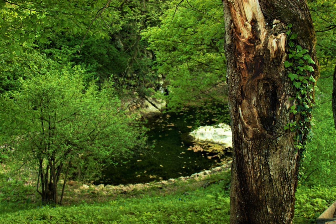 Private Place, Boca Bihac Exterior photo